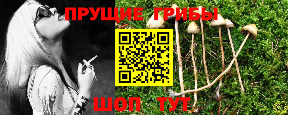 Псилоцибиновые грибы Magic Shrooms Кизляр